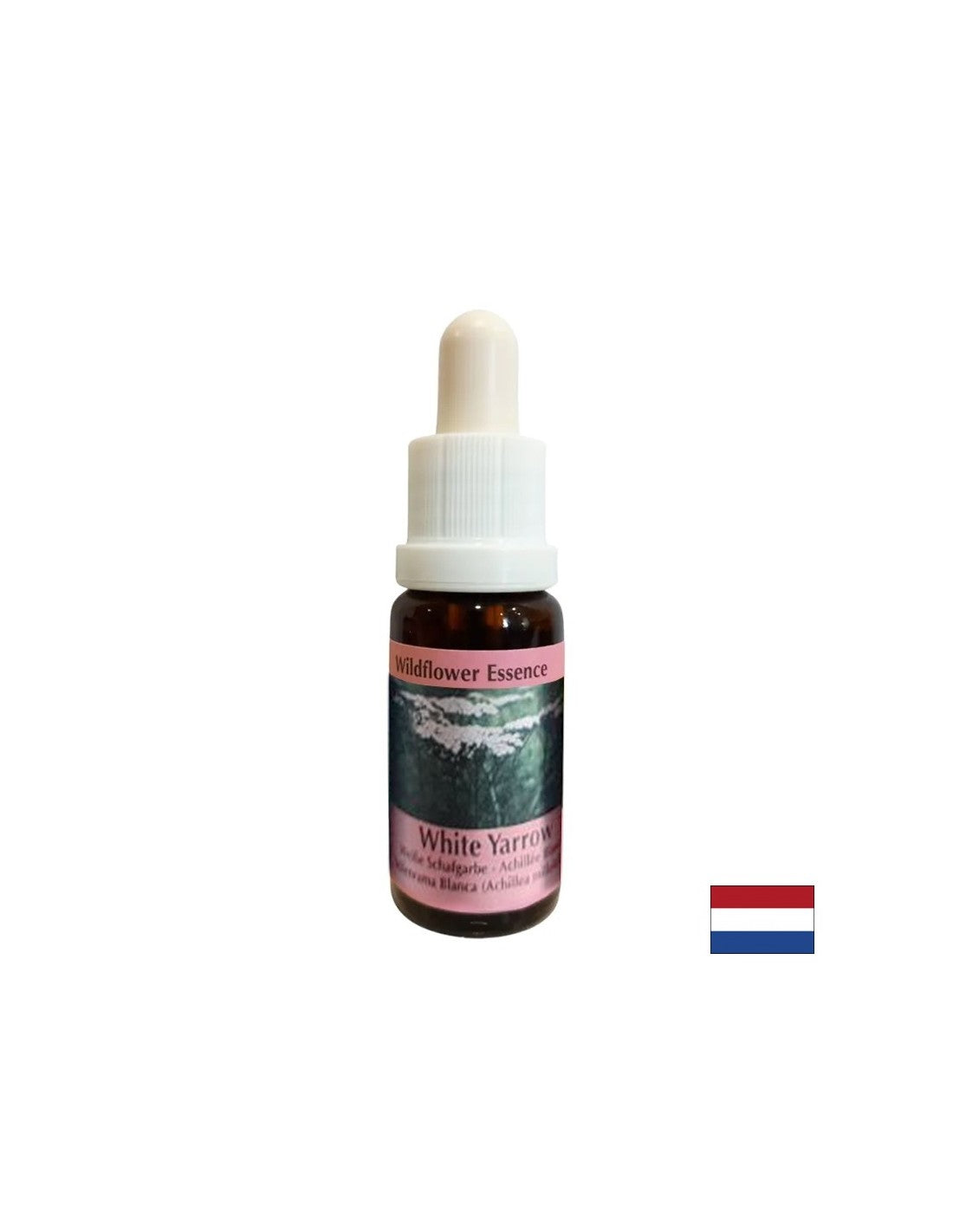 Eliminuje nepohodlie a chráni pred cudzí vplyv - Yarrow Essence č. 15, klesne 15 ml