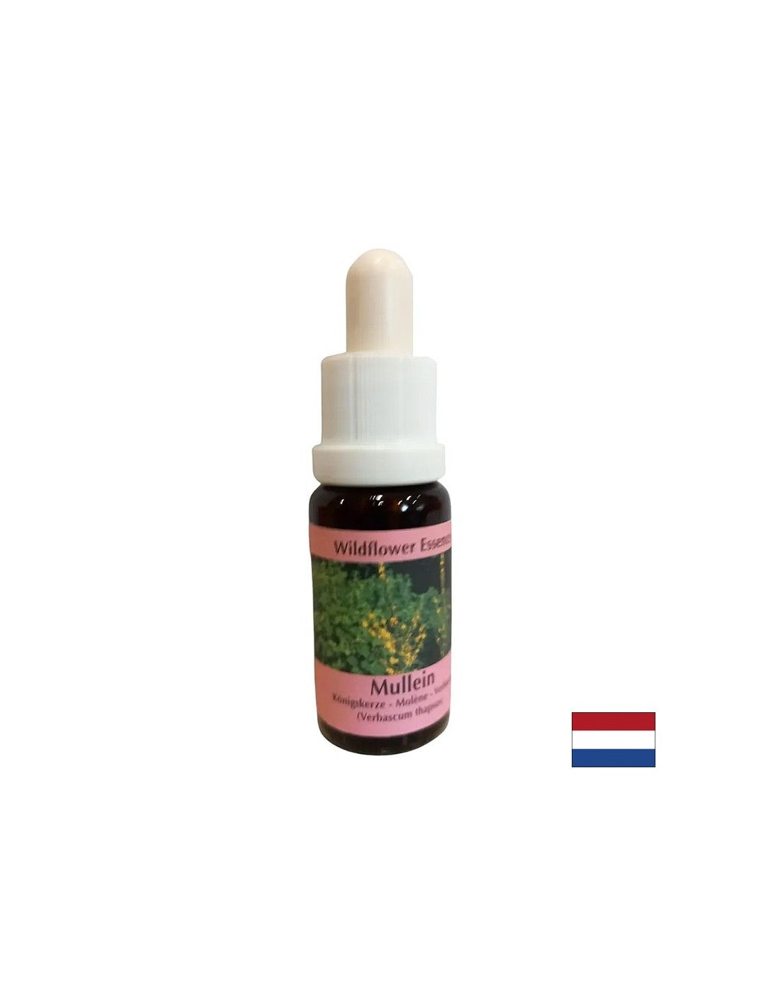 Podporuje tímovú prácu a kreativitu - Lopen Essence č. 29, klesne 15 ml