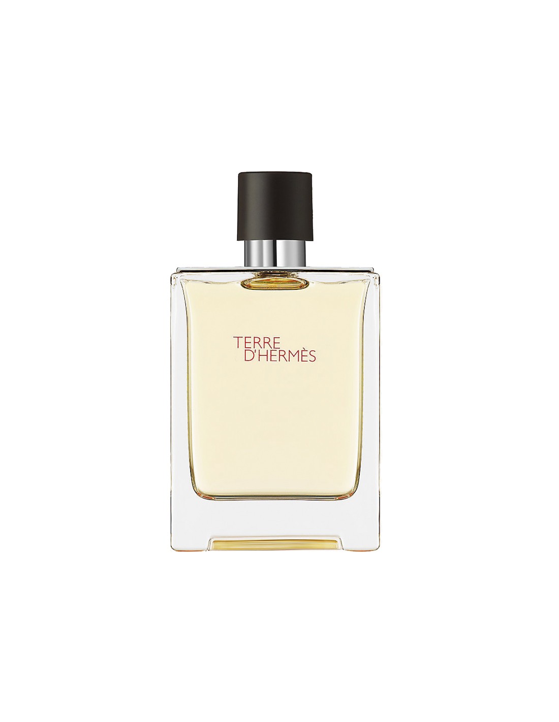 Hermes Terre d'Hermes eau de toaletný sprej 100 ml