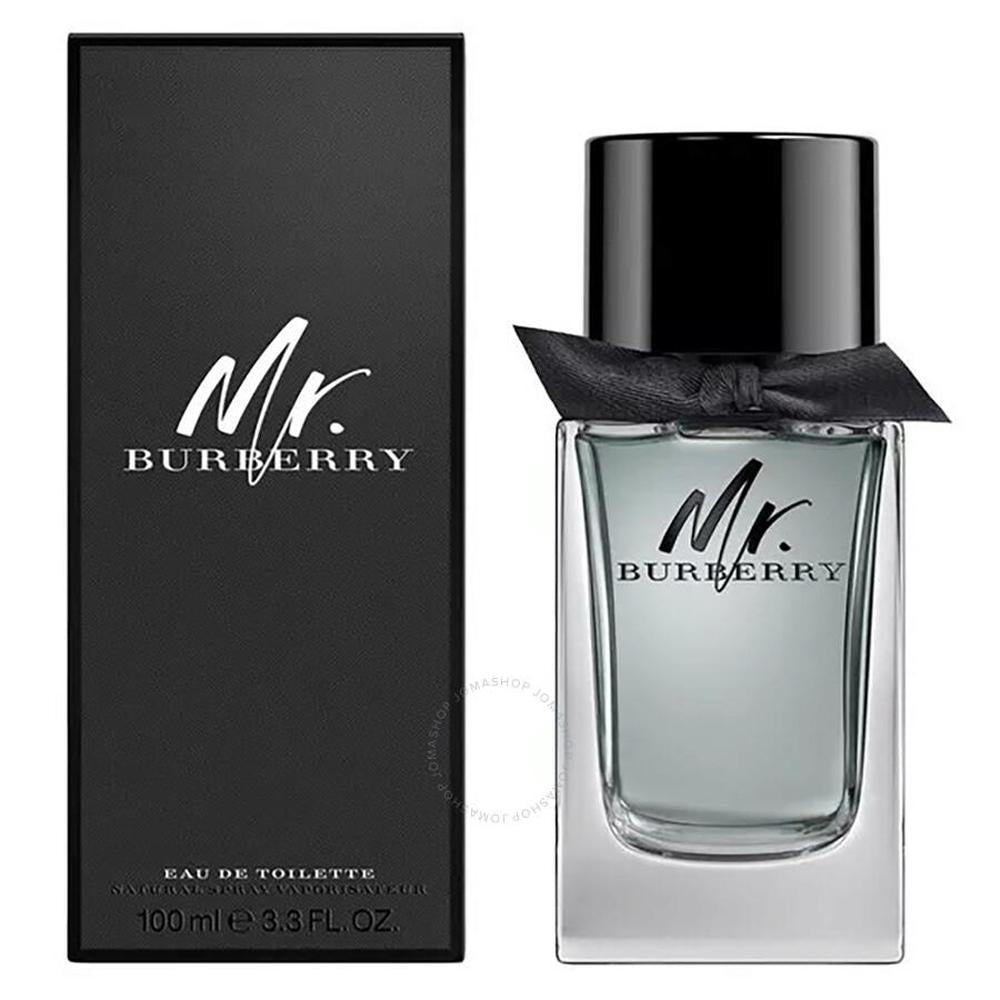 Mr <tc>BURBERRY</tc> Toaletná voda v spreji 100 ml