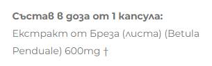 Extrakt z brezy 600 mg - 60 kapsúl