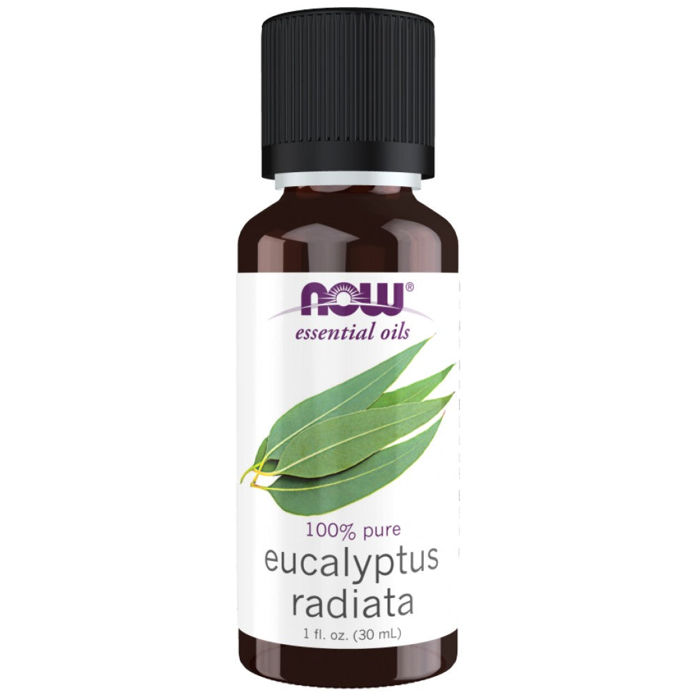 Eukalyptus Radiata Oil | 100% čistý eukalyptový radiata - 30 ml