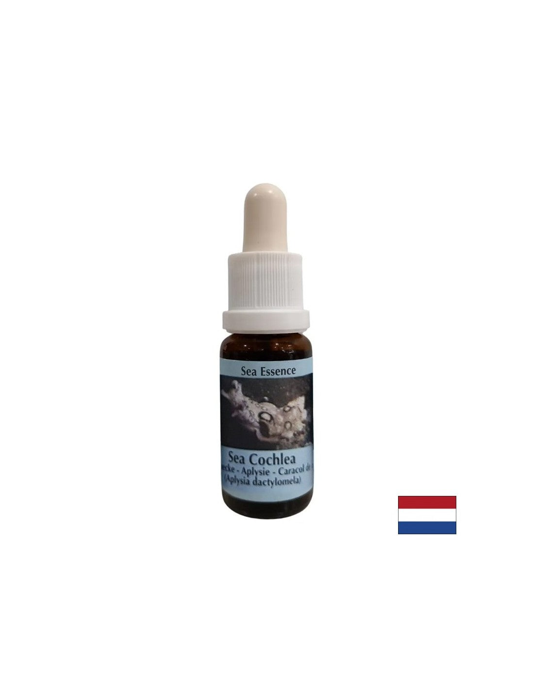Poskytuje vnútornú silu v nestabilných situáciách - Essence slimákov s morským slimákom č. 8, klesne 15 ml