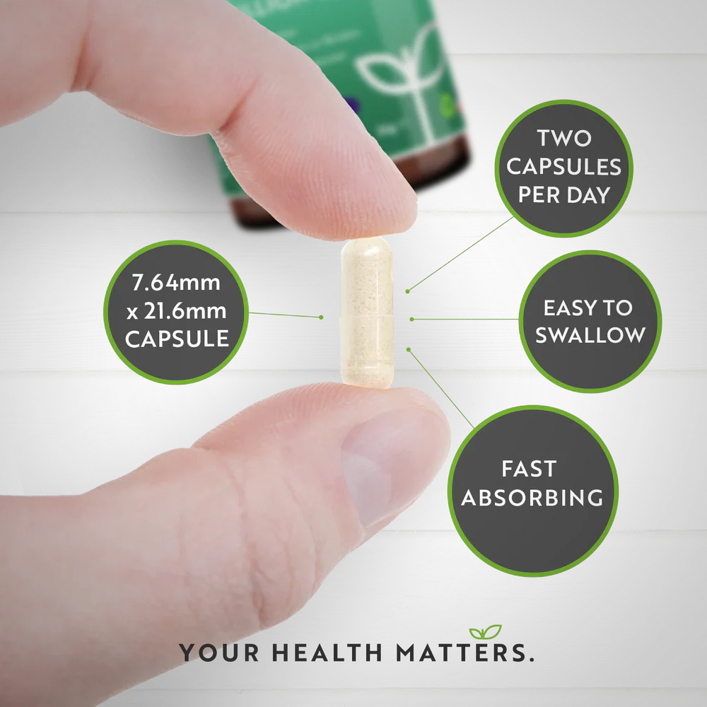 Probiotic /synbiotic/ 30 billion, 21 strains /60 capsules, 60 days/ - Nutra Best Europe