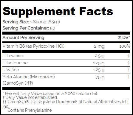 BCAA PRO 5000 / ASPARTAME ZADARMO - 345 gramov