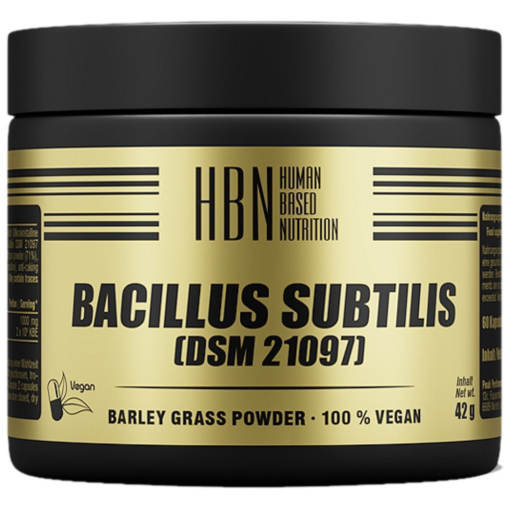 Bacillus subtilis 60 kaplet