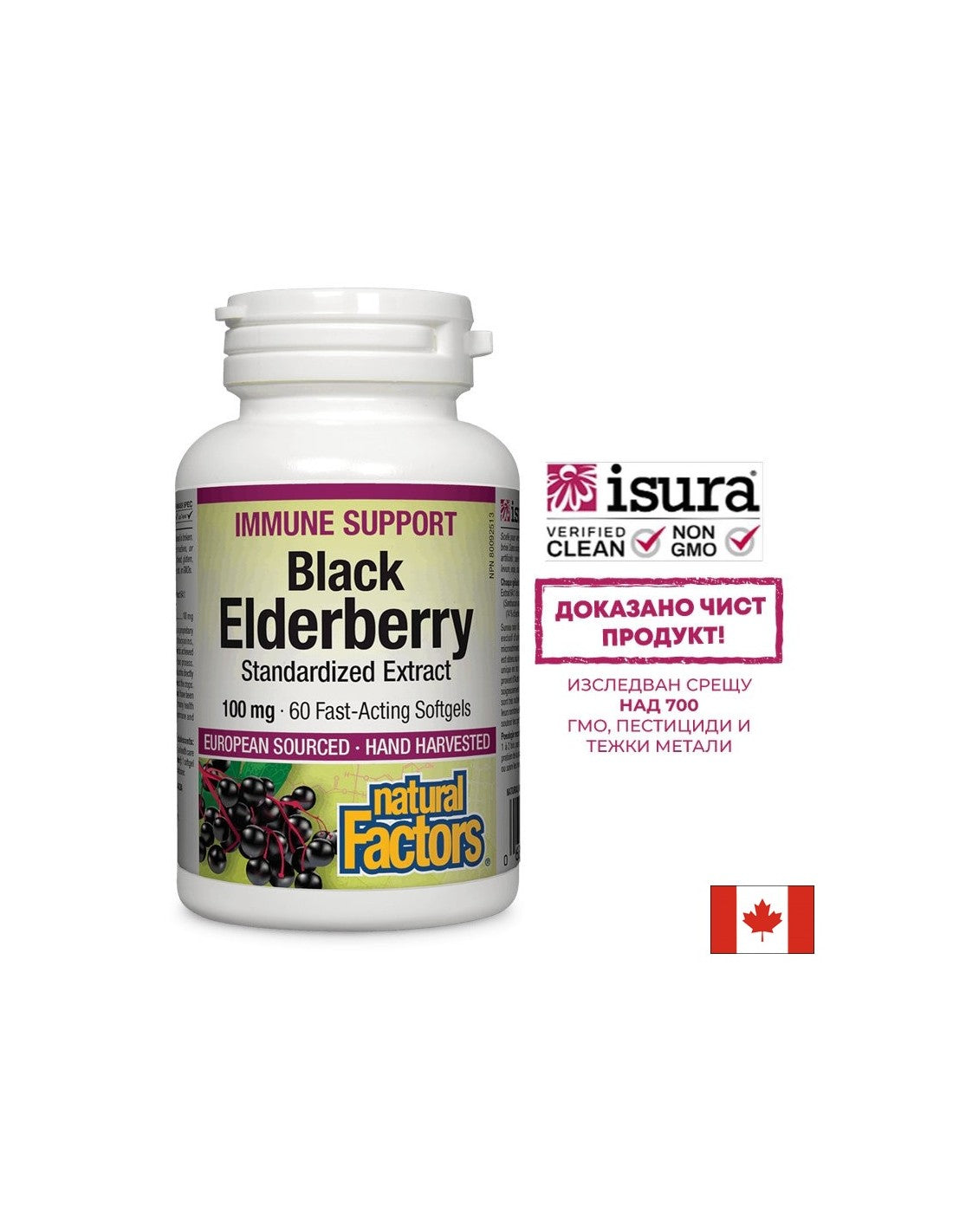 Black Elderberry štandardizovaný extrakt 100 mg - 60 gélových kapsúl