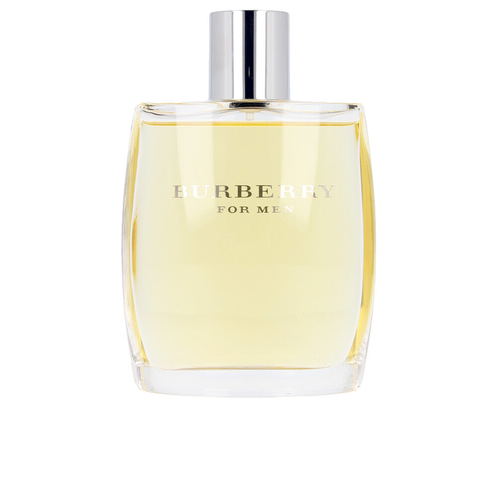 <tc>BURBERRY</tc> Pánsky sprej 100 ml