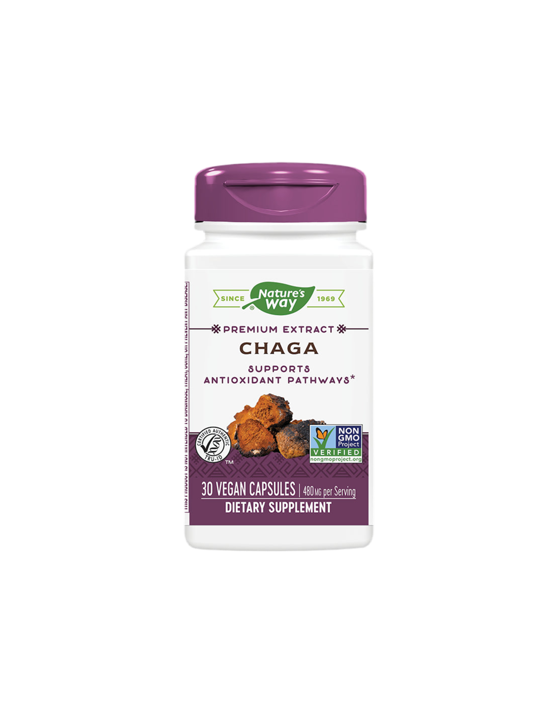 Chaga / Chaga 480 mg x 30 kapsuly príroda