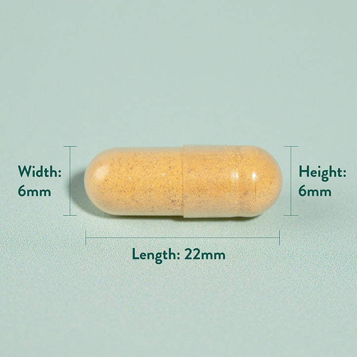 Kurkuma 500 mg 240 kapsúl Holland & Barrett