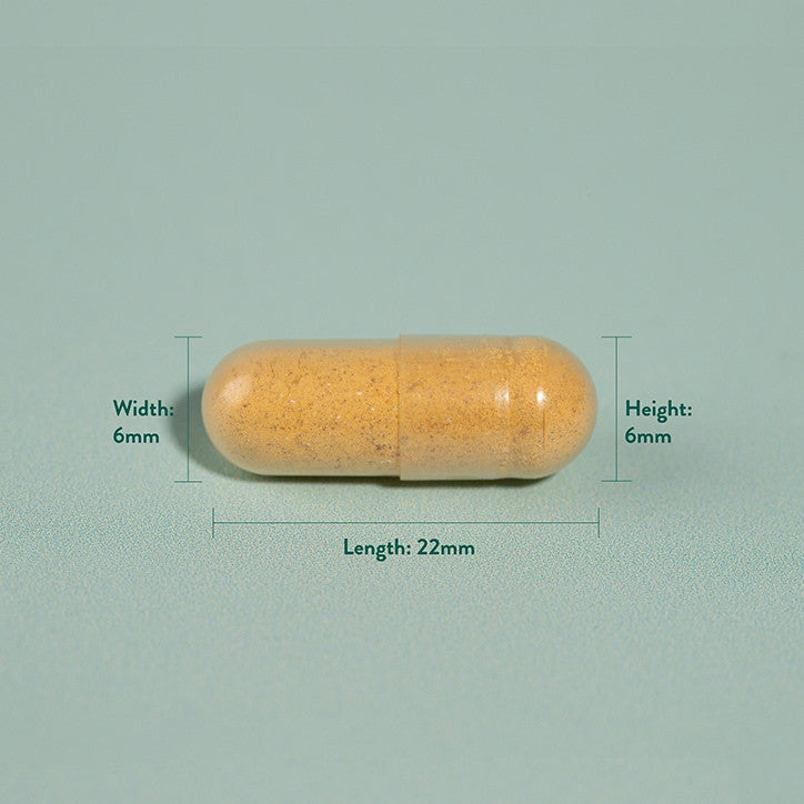 Kurkuma 500 mg 90 kapsúl Holland & Barrett