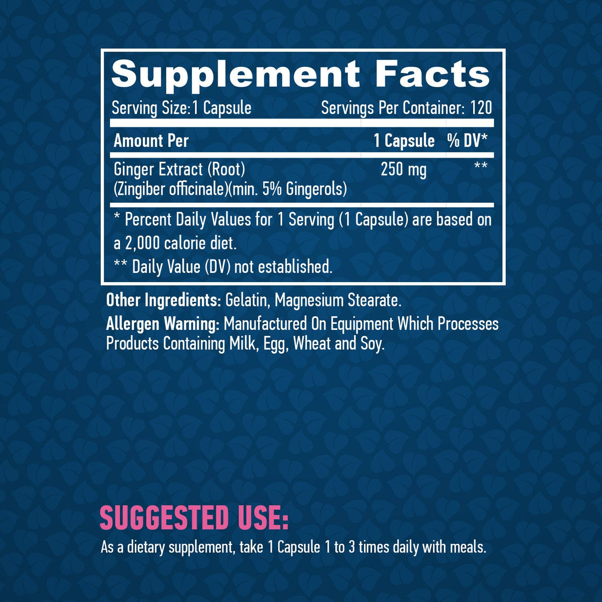 Ginger 250 mg. / 120 Vcaps.