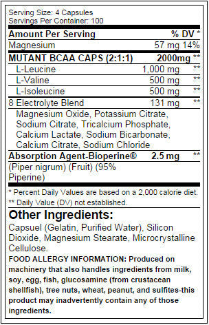 100% voľný formulár BCAA 400caps.