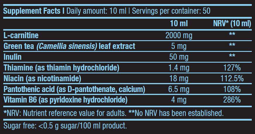 L-karnitín 100 000 /500 ml kvapalina