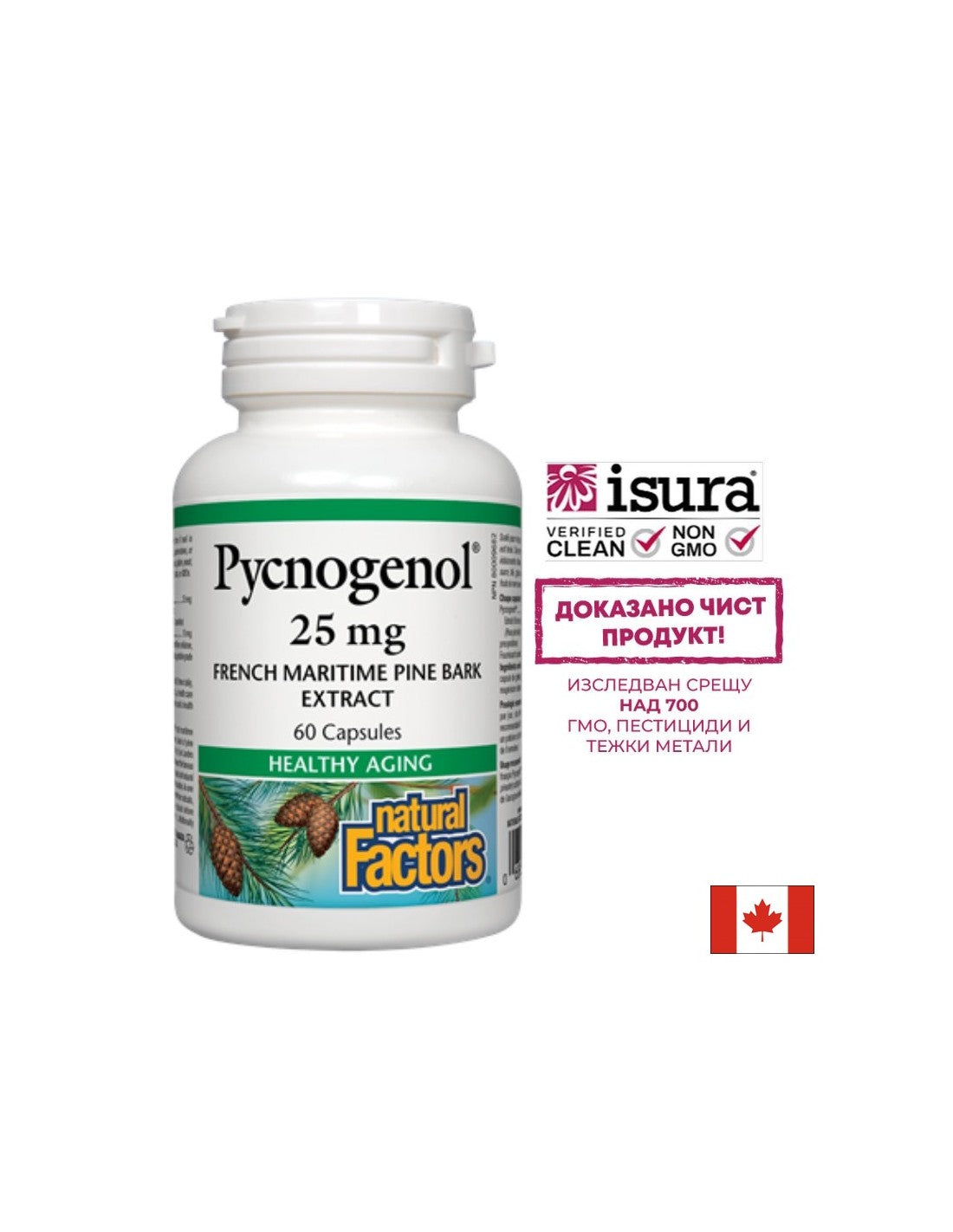 Pycnogenol 25 mg - 60 kapsúl