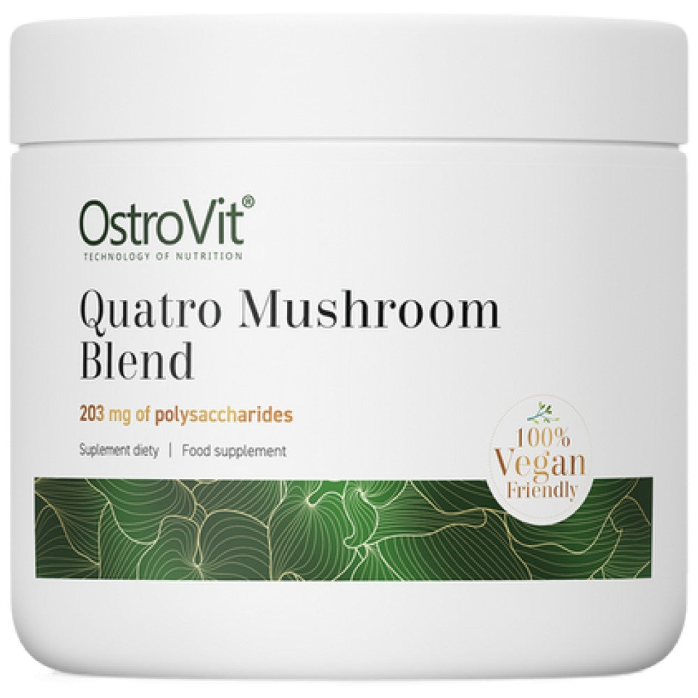 Quatro Huub Blend Prášok Lion's manél ~ reishi ~ Cordyceps ~ Chaga 100 gramov