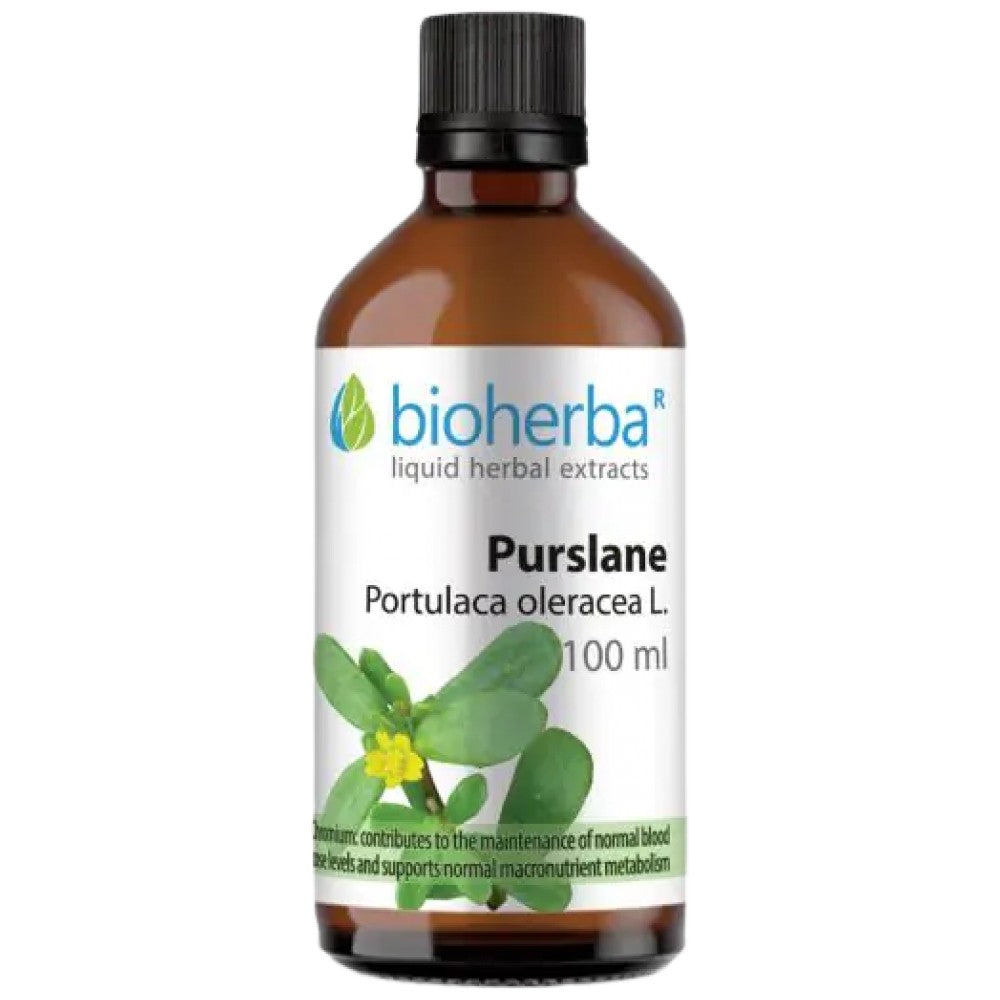 Tincture Portulaca oleracea (purslane) - 100 ml - Nutra Best Europe