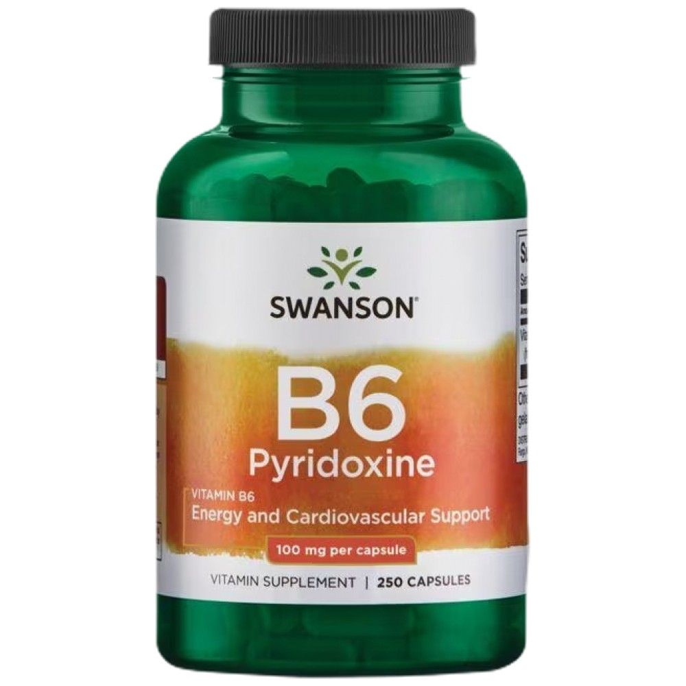 Vitamín B6 100 mg / pyridoxín - 250 kapsúl