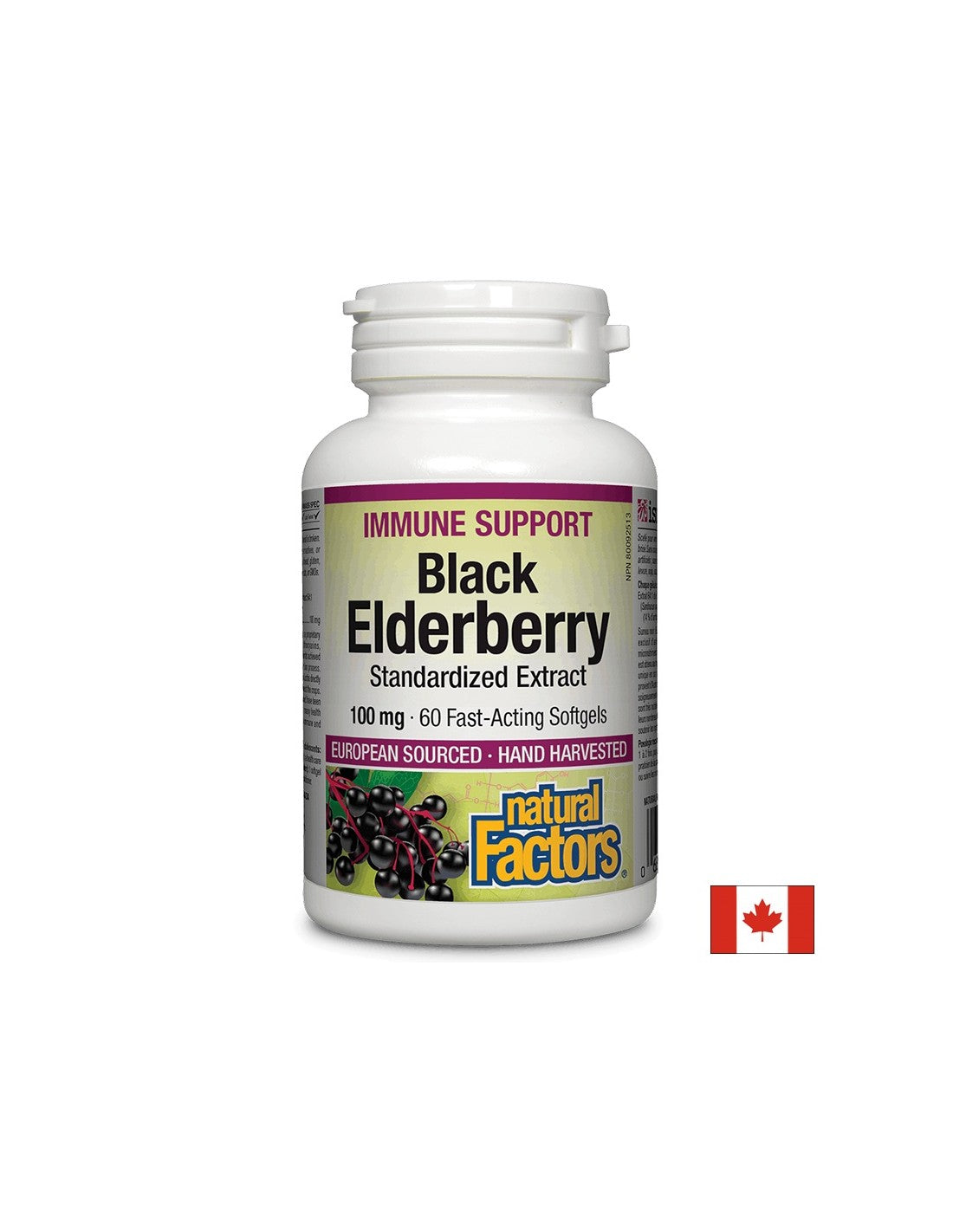 Black Elderberry štandardizovaný extrakt 100 mg - 60 gélových kapsúl