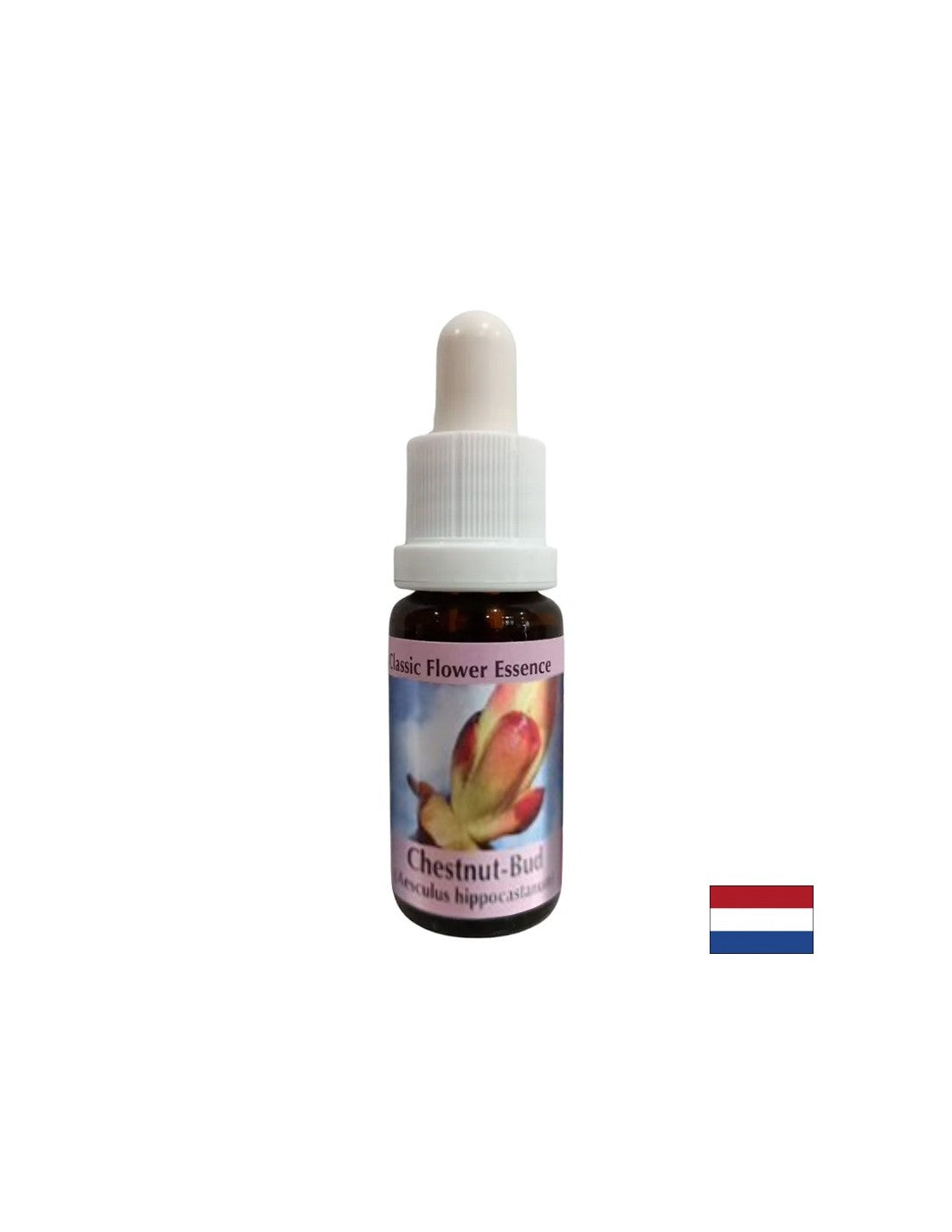 Odstraňuje blokády energie - gaštan Bud Essence č. 7, kvapky 15 ml