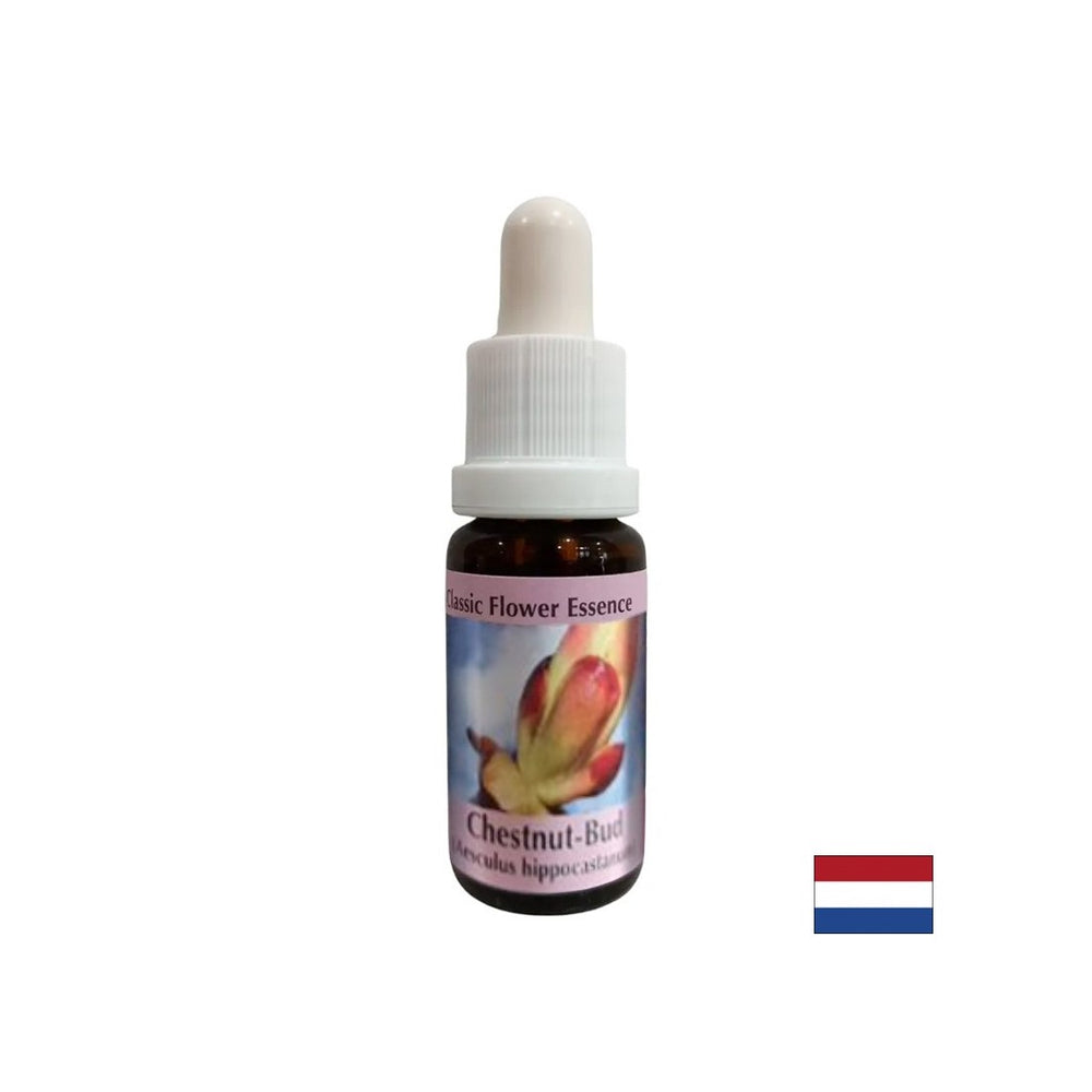 Odstraňuje blokády energie - gaštan Bud Essence č. 7, kvapky 15 ml