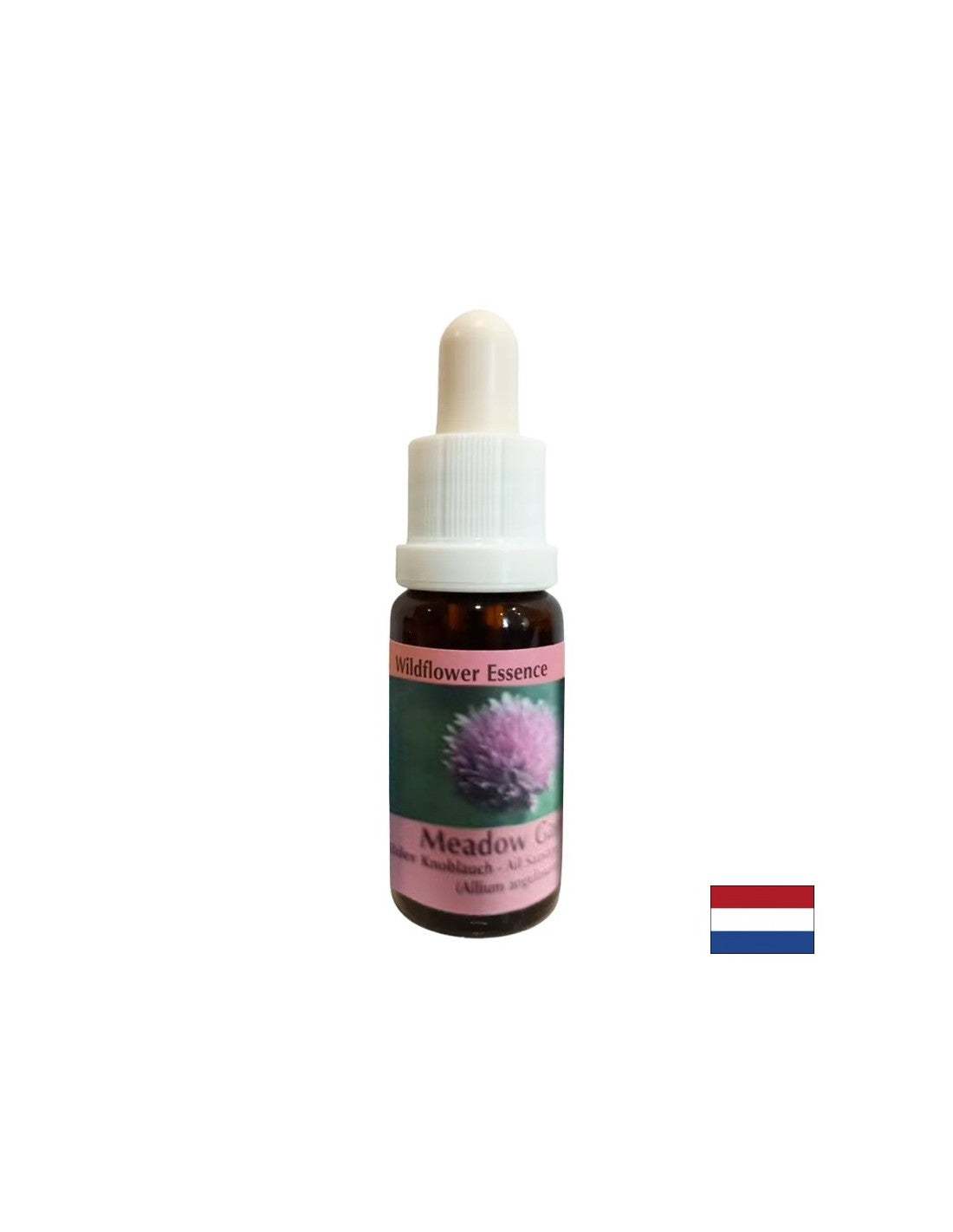 Stimuluje vôľu a metabolizmus - cibuľová esencia č. 39, klesne 15 ml