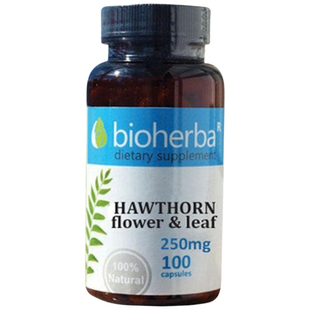 Hawthorn Flower & Leaf 250 mg - 100 kapsúl
