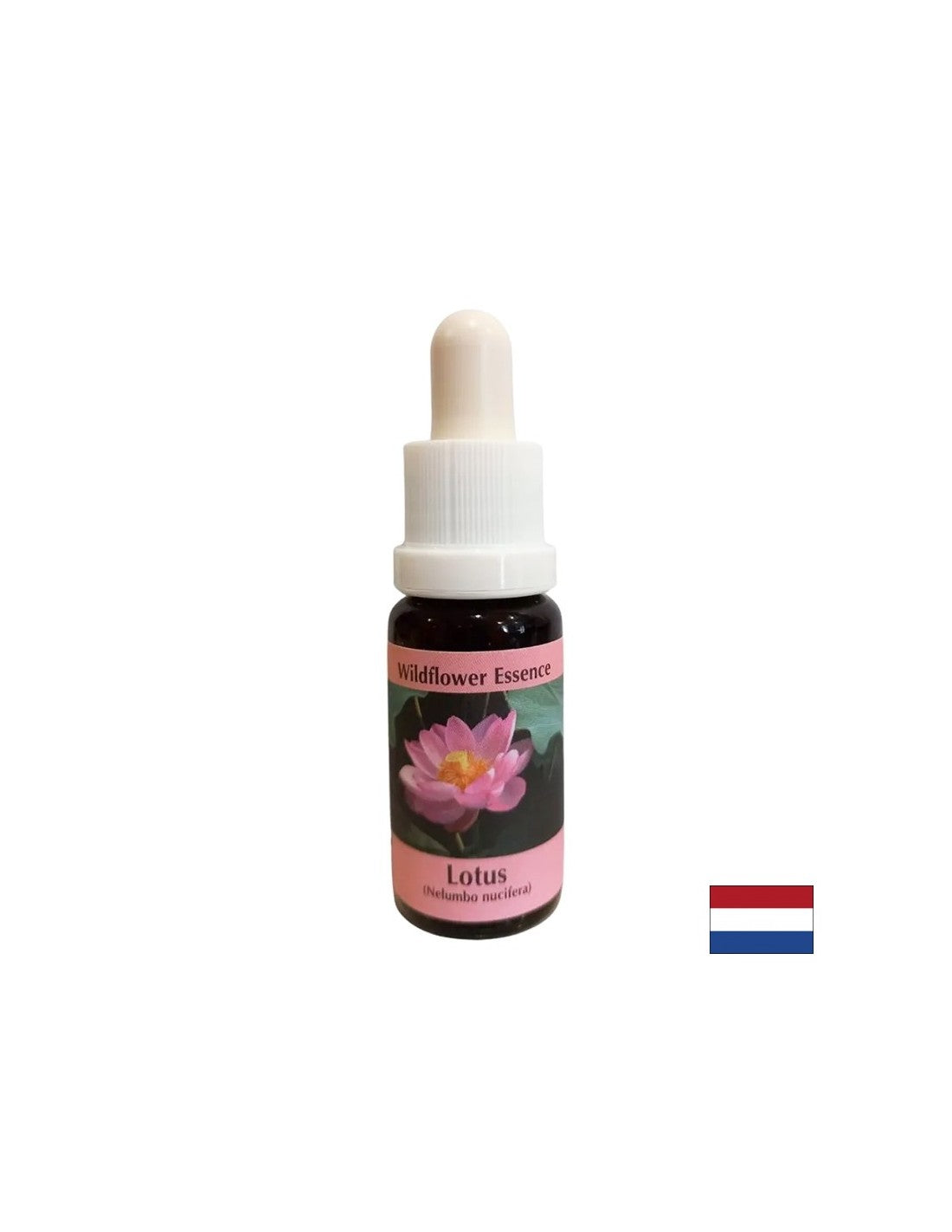 Harmonizuje čakry a otvára myseľ - Essence Indian Lotus č. 30, klesne 15 ml