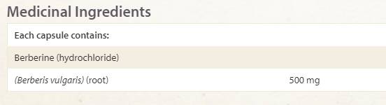 WellBetx Berberine 500 mg - 60 kapsúl
