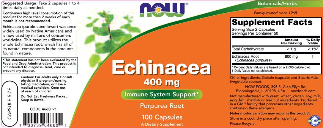 Echinacea 400 mg - 100 kapsúl
