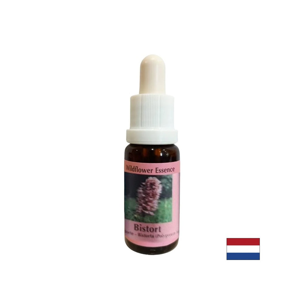 Podporuje koncentráciu a zaostrenie - Essence Bloodroot Essence č. 28, klesne 15 ml