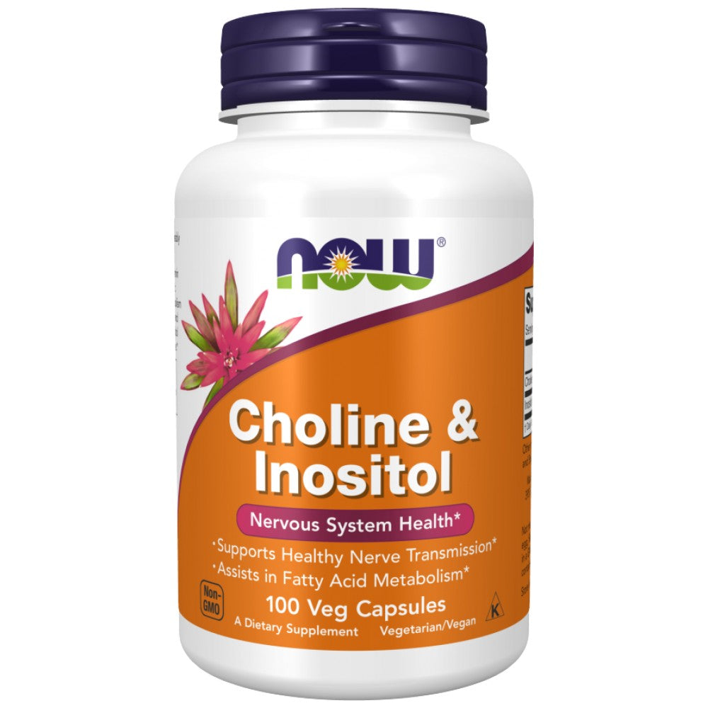 Choline a inositol 500 mg - 100 kapsúl