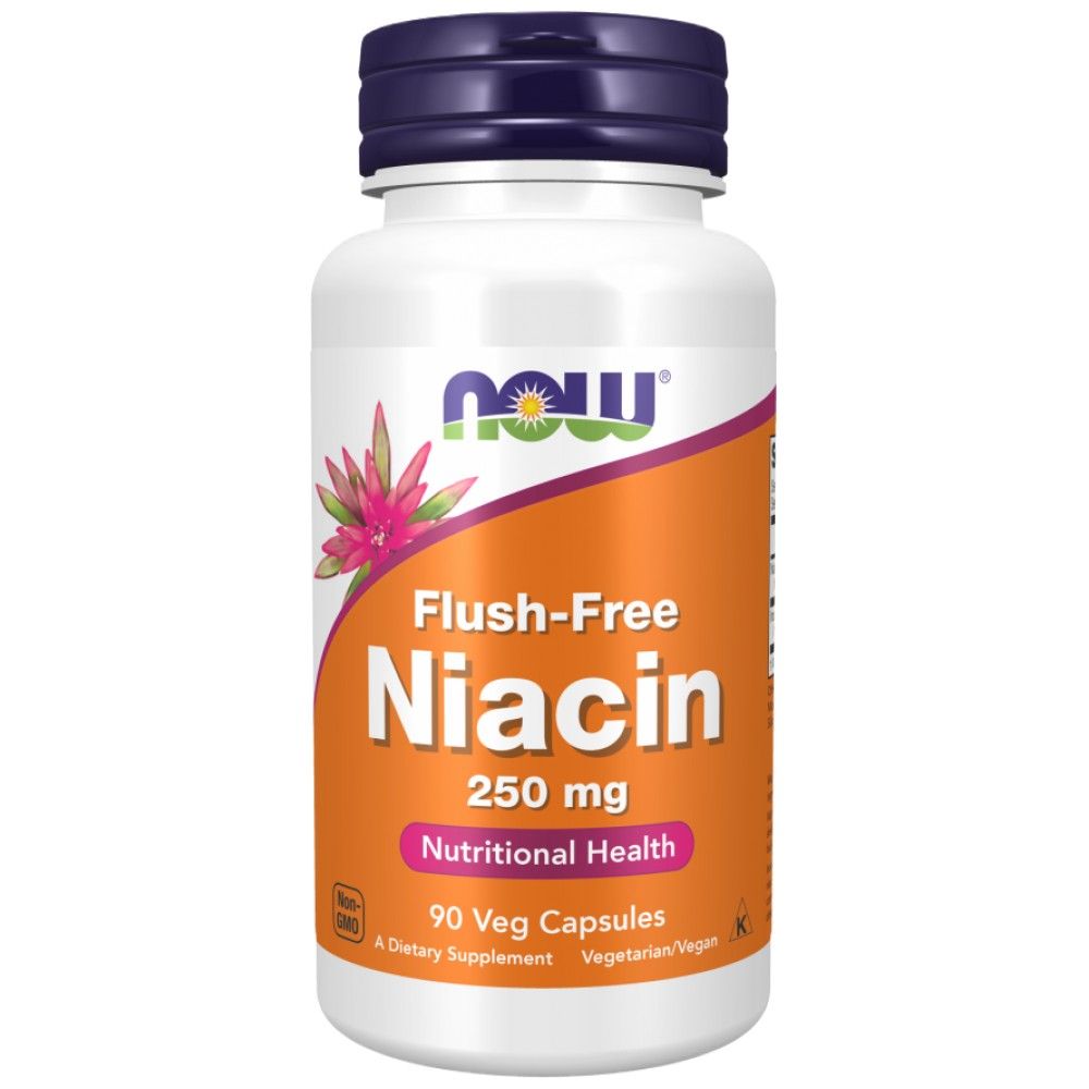 Niacín bez splachovania 250 mg - 90 kapsúl