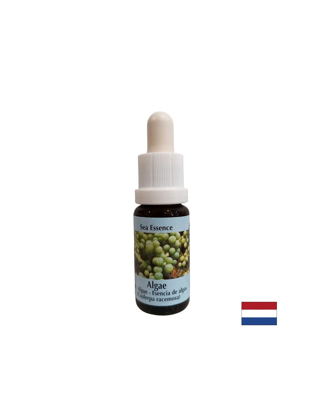 Stimuluje samoliečanie - Essence rias č. 1, klesá 15 ml