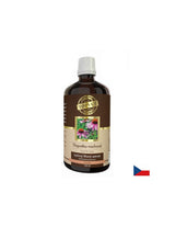Imunita - echinacea, 100 ml tinktúry