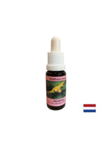Stimuluje vedomú zmenu - biela imelo Essence č. 12, kvapky 15 ml