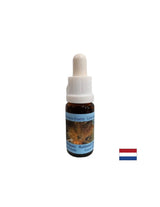Podporuje pozitívnu transformáciu a rovnováhu - Essence Rutilated Quartz č. 13, klesne 15 ml