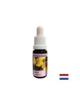 Pre nový začiatok - Essence Preshtip č. 13, klesne 15 ml
