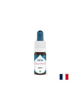 Pre mentálnu jasnosť a rovnováhu v podmienkach senzorického preťaženia - fenikel, bach kvapky, 15 ml
