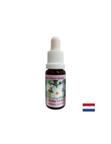 Propaguje komunikáciu - Swamp Iris Essence, klesne 15 ml