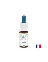Pre strach a neistotu - Larch, Bach klesne č. 19, 15 ml