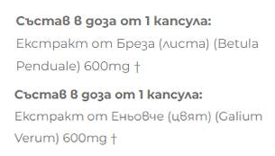 Extrakt z brezy + kapsuly 2 x 60