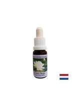 Pre duchovné povedomie - Victoria Regia Essence č. 20, 15 ml kvapky