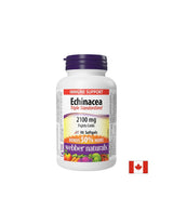 Imunita - Echinacea (trojitý štandardizovaný extrakt) 2100 mg, 90 kapsúl softgel
