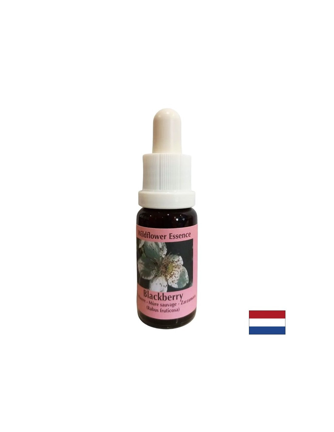 Stimuluje vitalitu a aktivuje kreativitu - BlackBerry Essence č. 22, klesá 15 ml