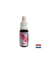 Keď sa obávate o ostatných - Essence Red Horse Gaštan č. 25, klesne 15 ml