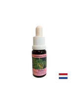 Podporuje tímovú prácu a kreativitu - Lopen Essence č. 29, klesne 15 ml