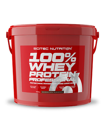 100% srvátka Protein Professional - 5,00 kg