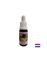 Po zmene - calnut Essence č. 33, kvapky 15 ml