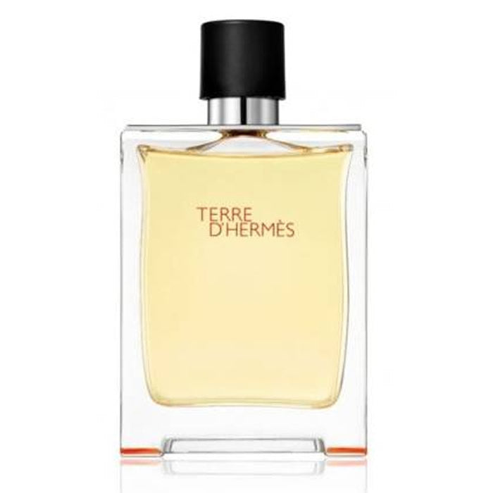 Terre d'Hermes eau de toaletný sprej 50 ml